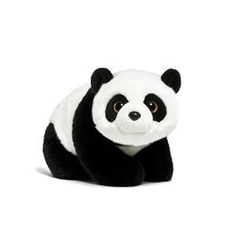 Rerum rerum sint iusto aliquid incidunt iure.